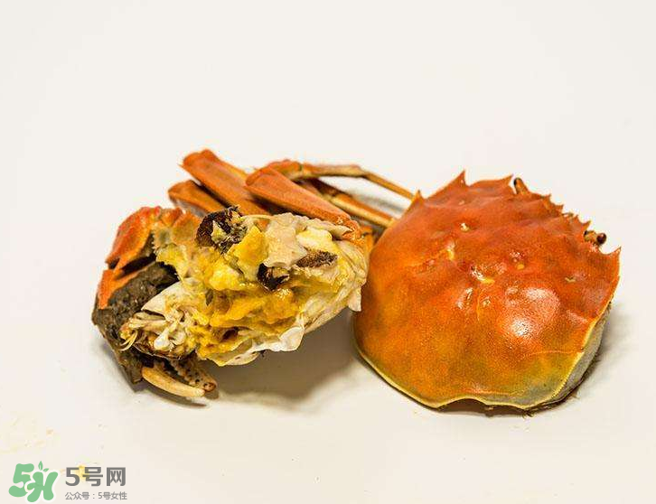 哪種螃蟹有蟹黃？哪種螃蟹蟹黃最多？
