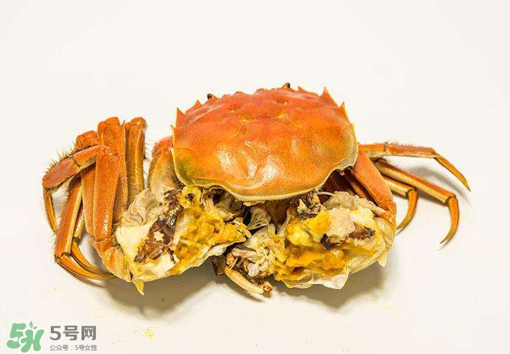 哪種螃蟹有蟹黃？哪種螃蟹蟹黃最多？