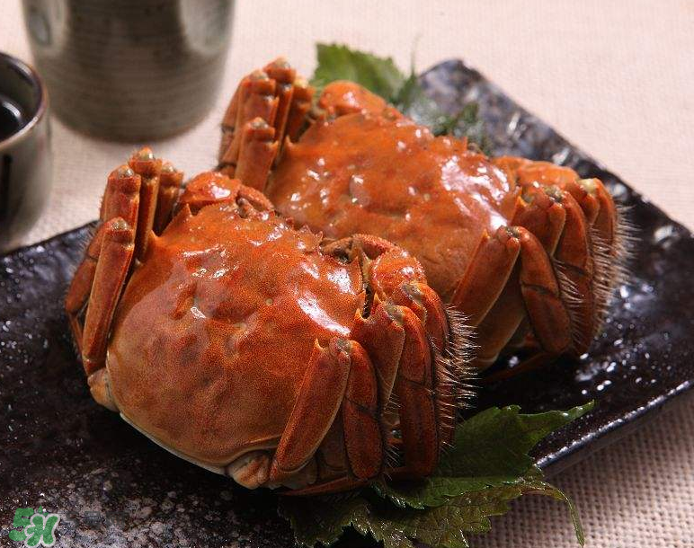 哪種螃蟹有蟹黃？哪種螃蟹蟹黃最多？