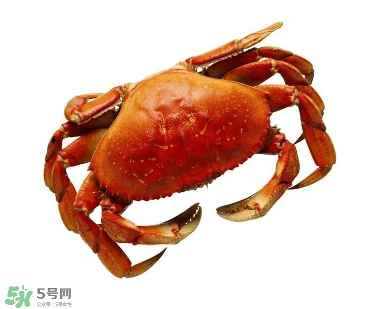 哪種螃蟹不能吃？什么樣的螃蟹不能吃？