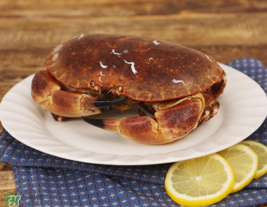 哪種螃蟹便宜？哪種螃蟹最貴？