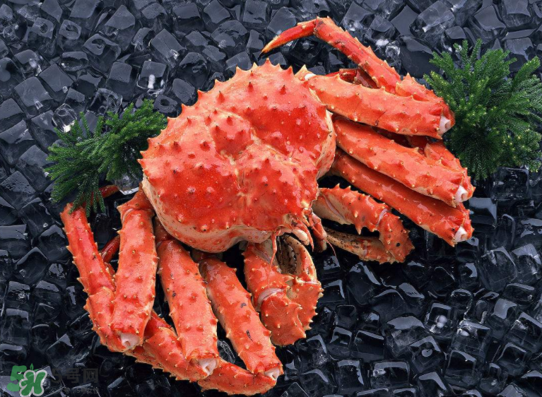 哪種螃蟹便宜？哪種螃蟹最貴？