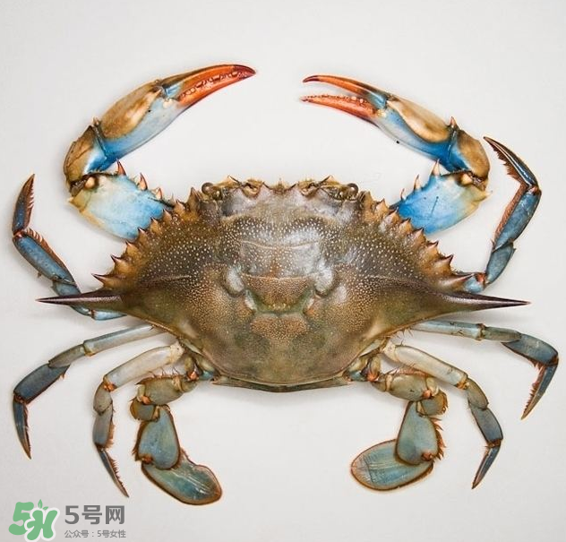 蟹膏是綠色的嗎？蟹膏是黑色的能吃嗎？