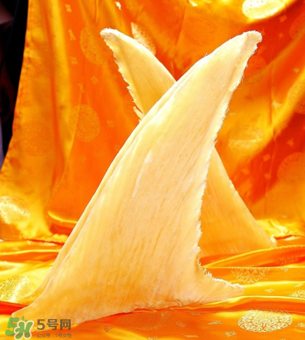 魚翅卡喉嚨了怎么辦？魚翅卡喉嚨的自救法