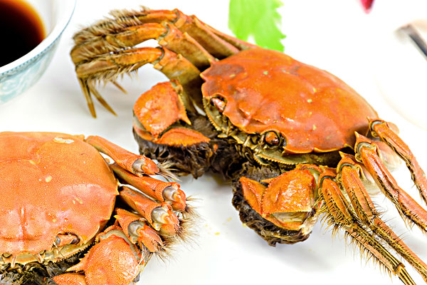 紅膏蟹多少錢(qián)一斤 紅膏蟹價(jià)格 紅膏蟹多少錢(qián)一斤 紅膏蟹價(jià)格