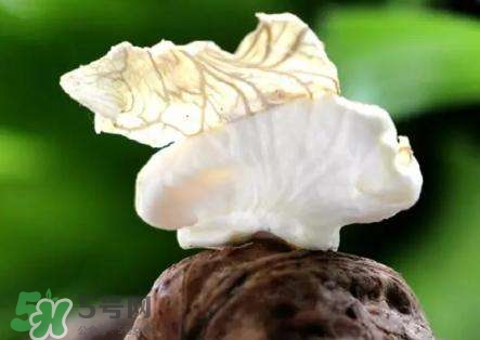 新鮮核桃要剝皮嗎？剝皮時手變黑怎么清洗？