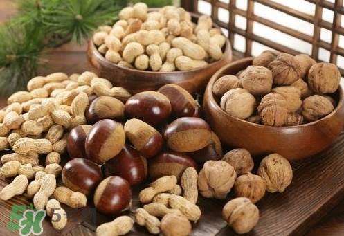 孕婦可以喝核桃粉嗎？孕婦喝核桃粉好嗎？