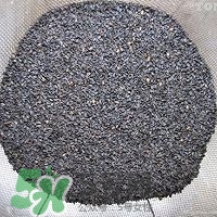 核桃粉怎么做？核桃粉的功效與作用