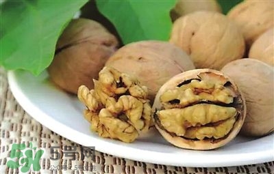 核桃分心木可以煲湯嗎？核桃分心木可以和枸杞泡水嗎？