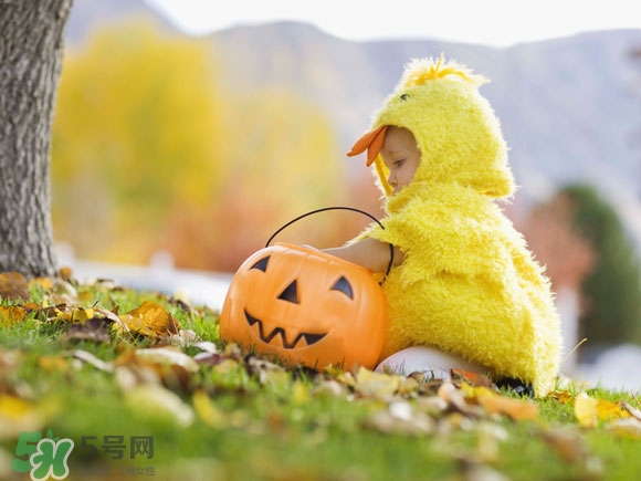 核桃粉哪個牌子好？核桃粉價格