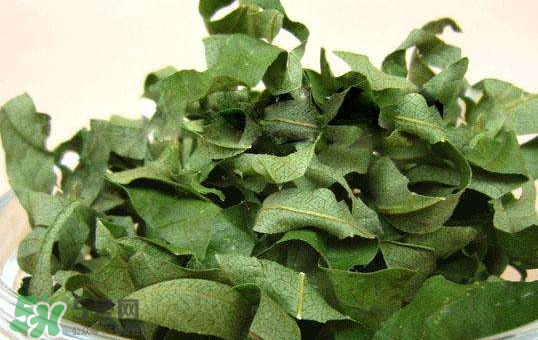 柿子葉多少錢一斤 柿子葉哪里有賣 柿子葉多少錢一斤 柿子葉哪里有賣