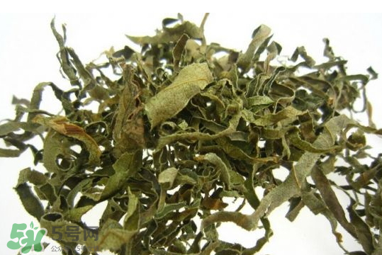 柿子葉多少錢一斤 柿子葉哪里有賣 柿子葉多少錢一斤 柿子葉哪里有賣