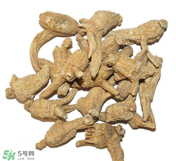 花旗參和西洋參的區(qū)別 花旗參好還是西洋參好？