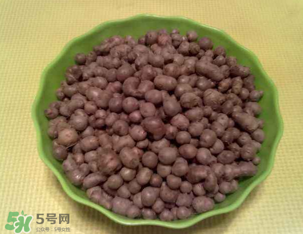 山藥豆是什么東西？山藥豆是長在土里嗎？