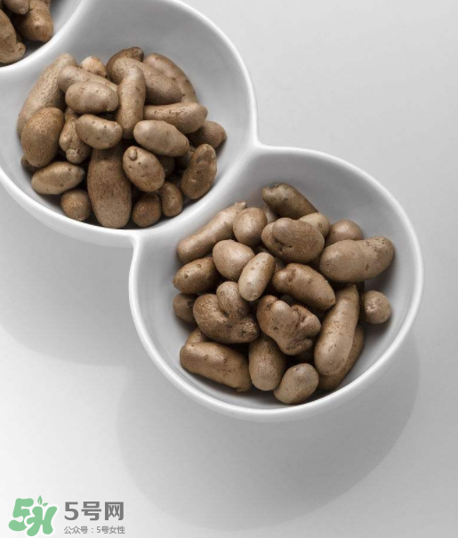 山藥豆是怎么長出來的？山藥豆是山藥的種子嗎？