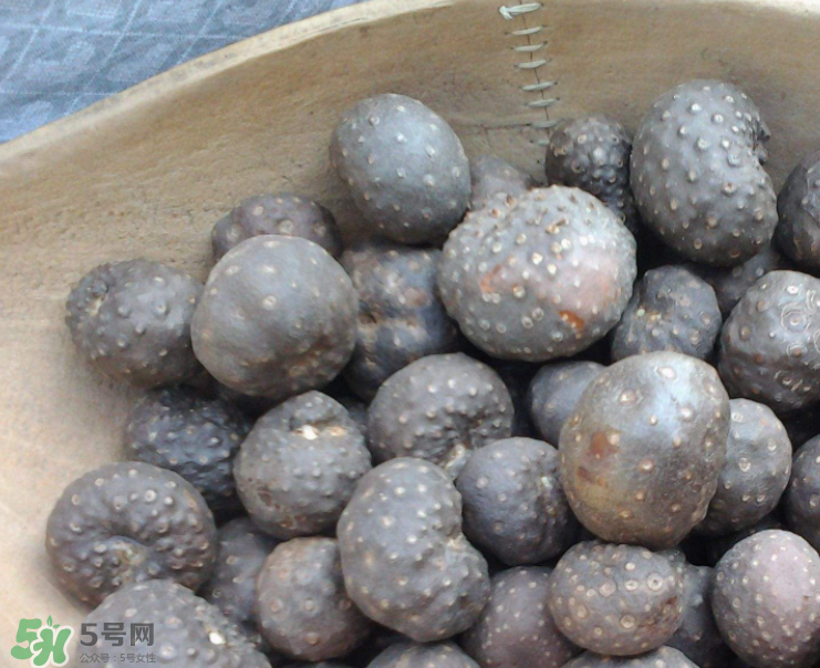 山藥豆是怎么長出來的？山藥豆是山藥的種子嗎？