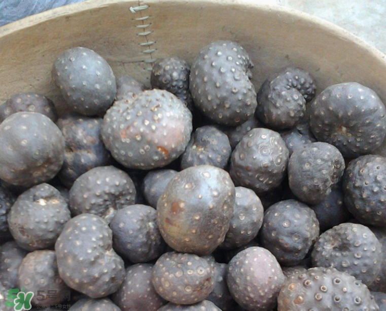 山藥豆能生吃嗎？山藥豆能帶皮吃嗎？