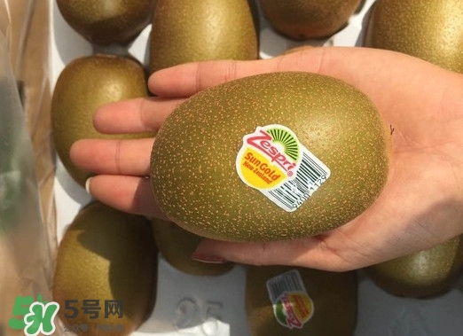 黃心獼猴桃叫什么名字？黃心獼猴桃是什么品種