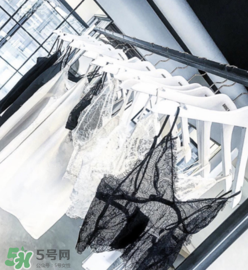 anine bing是什么牌子？anine bing是什么檔次？