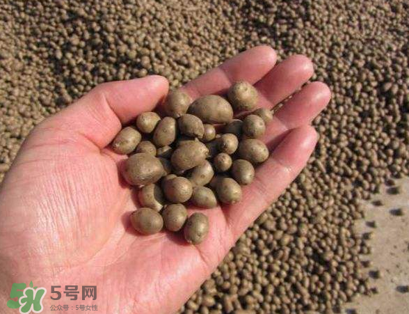 山藥豆可以蒸著吃嗎 山藥豆可以煮著吃嗎 山藥豆可以蒸著吃嗎 山藥豆可以煮著吃嗎