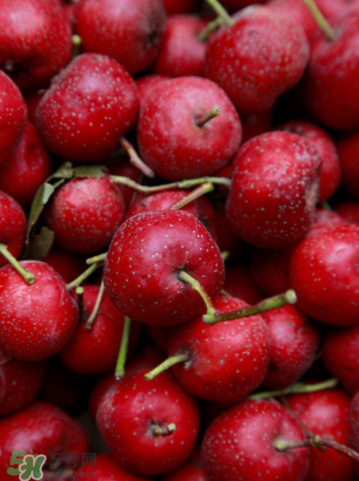 山楂和什么泡水喝好？山楂泡水最佳搭配