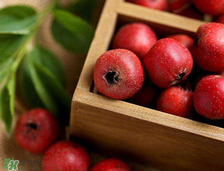 山楂和枸杞能一起泡水喝嗎？