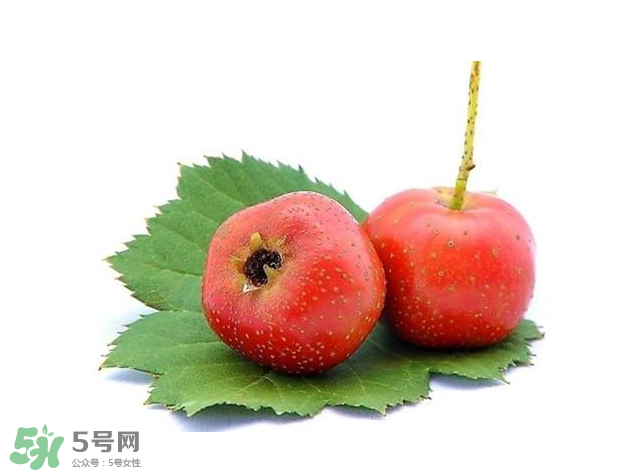 山楂和菊花能一起泡水喝嗎？