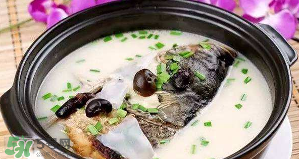 怎樣吃魚(yú)最有營(yíng)養(yǎng)？喝魚(yú)湯會(huì)致高脂血癥嗎？