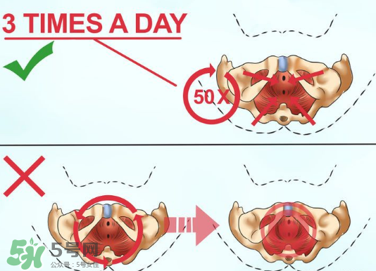 鍛煉pc肌真的有用嗎？練pc肌可以增長性愛時間嗎？