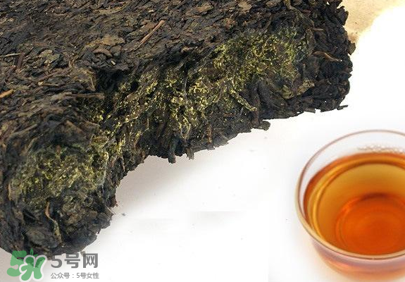 茯茶是熱性還是涼性？茯茶是不是放越久越好？