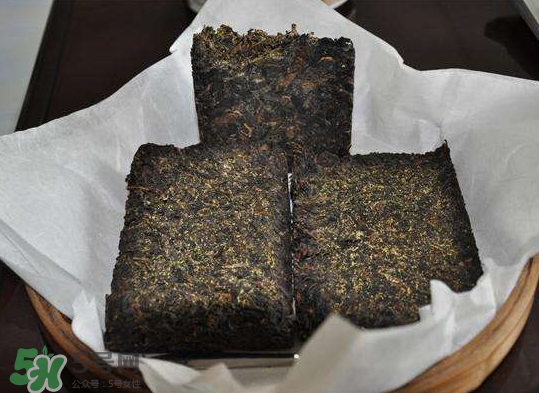 茯茶是熱性還是涼性？茯茶是不是放越久越好？