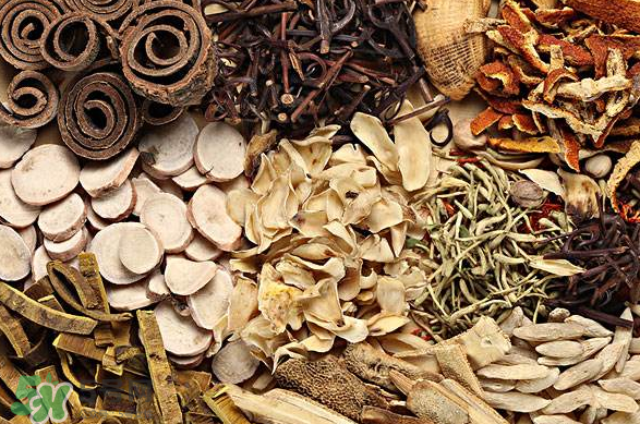 清熱降火的中藥有哪些？清熱降火的中藥大全