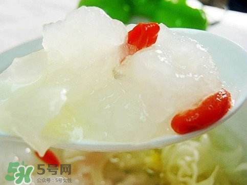 雪蛤膏是啥？雪蛤膏的功效與作用