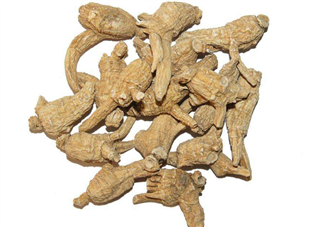 花旗參和西洋參的區(qū)別 花旗參好還是西洋參好？