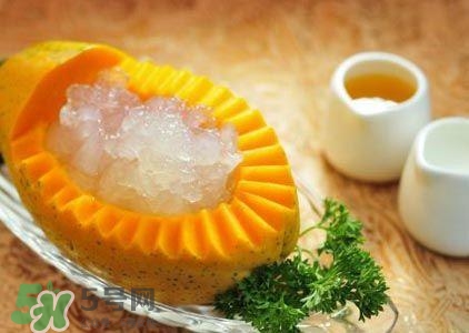 雪蛤膏是啥？雪蛤膏的功效與作用