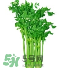 醋泡洋蔥能降血壓嗎？哪些食物可以降血壓？