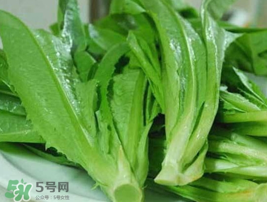 孕婦能吃涼拌萵苣葉嗎？萵苣葉煮水可以治蕁麻疹嗎
