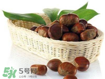 板栗酒能治療腎陽虛嗎？板栗泡酒真的能壯陽嗎？