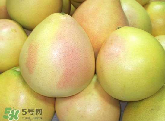 三紅蜜柚什么時候種植？三紅蜜柚什么時候成熟