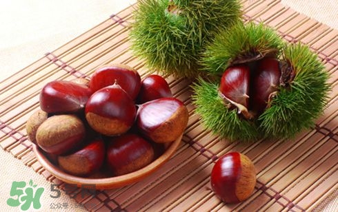 板栗酒能治療腎陽虛嗎？板栗泡酒真的能壯陽嗎？