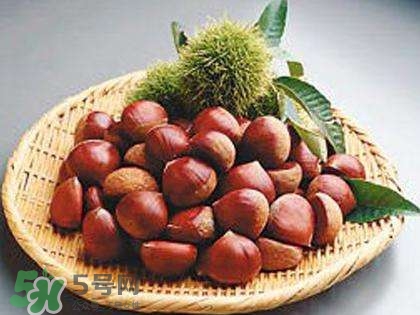 板栗酒能治療腎陽虛嗎？板栗泡酒真的能壯陽嗎？