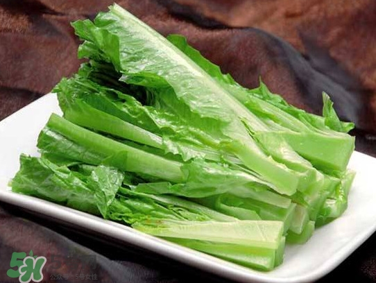 萵苣葉能吃嗎？萵苣葉和油麥菜有什么區(qū)別