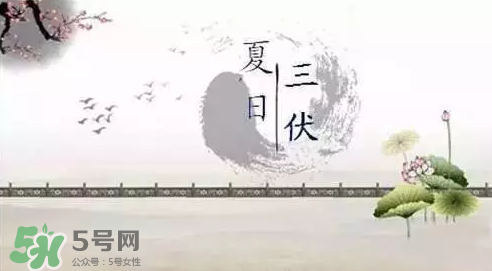 三伏天練什么？三伏天具體怎么養(yǎng)生？