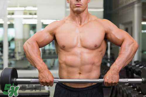 杠鈴劃船腰疼是什么原因？杠鈴劃船動(dòng)作要領(lǐng)