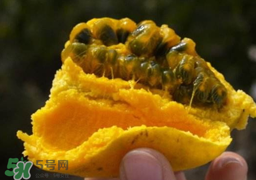 牛卵坨為什么沒人種植 牛卵坨種植 牛卵坨為什么沒人種植 牛卵坨種植