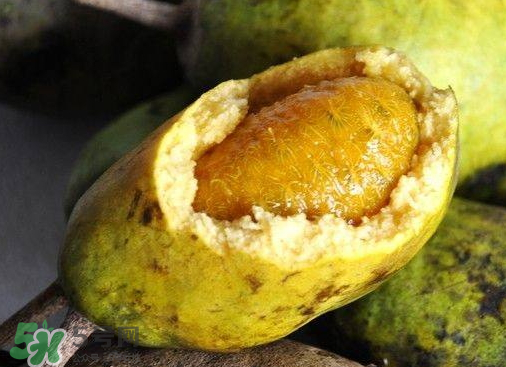 牛卵坨什么時(shí)候成熟 牛卵坨多少錢一斤 牛卵坨什么時(shí)候成熟 牛卵坨多少錢一斤