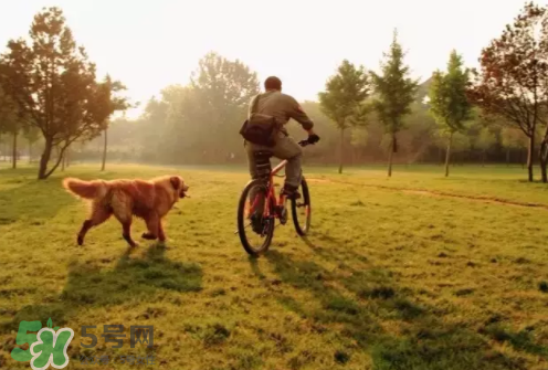三伏天要做什么？三伏天不能忘做的事
