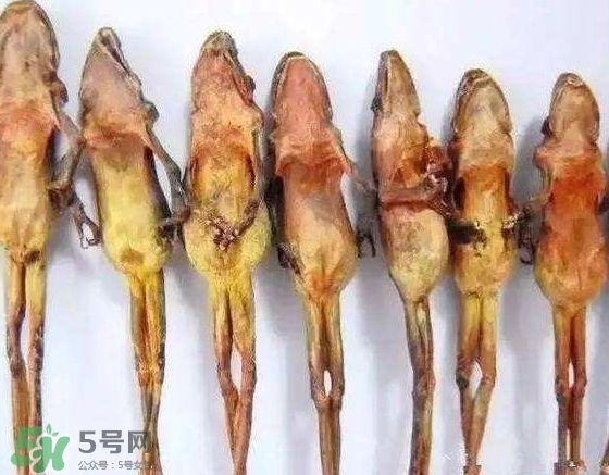 雪蛤干多少錢一斤？雪蛤干怎么吃？