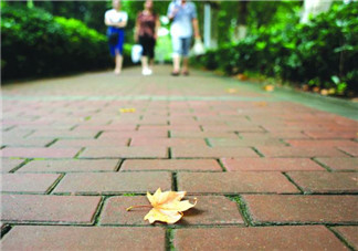 三伏天要做什么？三伏天不能忘做的事