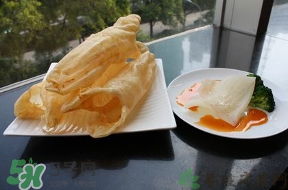 花膠可以放多久？花膠可以放冰箱嗎？